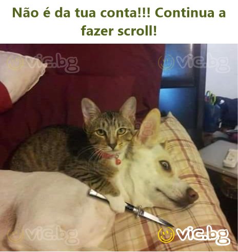 Não é da tua conta!!! Continua a fazer scroll!