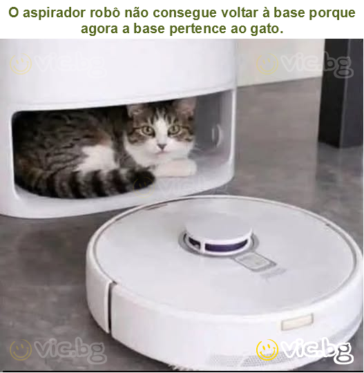 O aspirador robô não consegue voltar à base porque agora a base pertence ao gato.