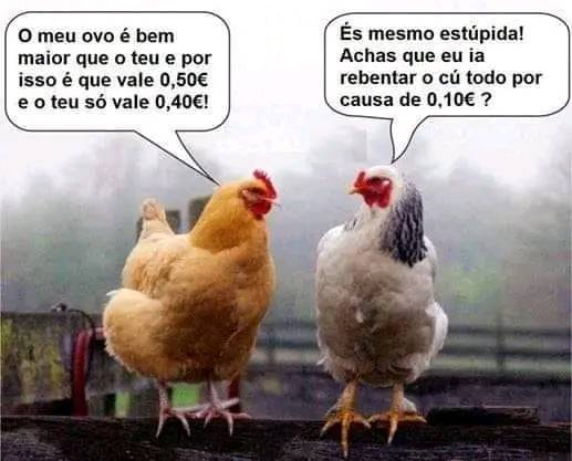 O meu ovo é bem maior que o teu e por isso é que vale 0,50€ e o teu só vale 0,40€! És mesmo estúpida! Achas que eu ia rebentar o cú todo por causa de 0.10€ ?