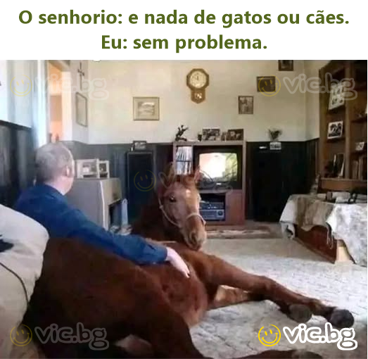 O senhorio: e nada de gatos ou cães.  Eu: sem problema.