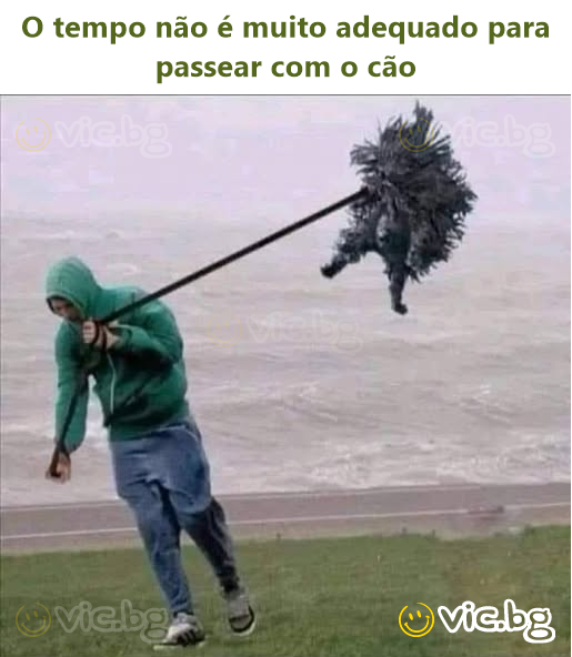 O tempo não é muito adequado para passear com o cão