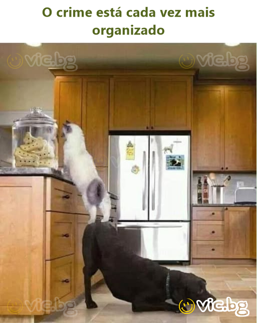 O сriме está cada vez mais organizado