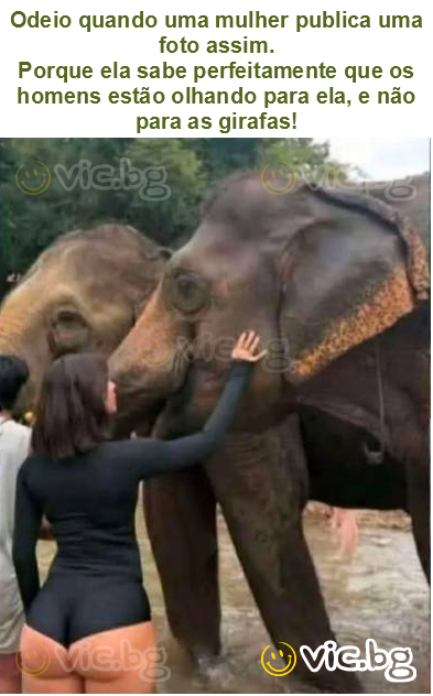 Odeio quando uma mulher publica uma foto assim.
Porque ela sabe perfeitamente que os homens estão olhando para ela, e não para as girafas!