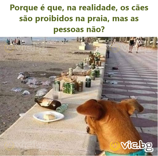 Porque é que, na realidade, os cães são proibidos na praia, mas as pessoas não?