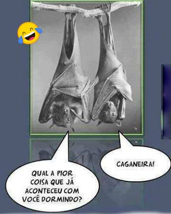 Qual a pior coisa que já aconteceu com você dormindo? Caganeira!