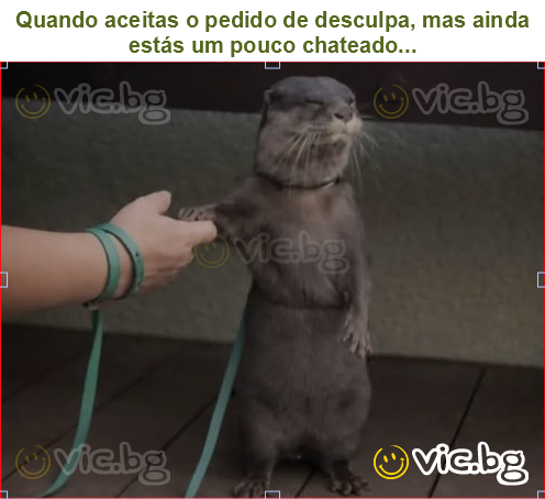 Quando aceitas o pedido de desculpa, mas ainda estás um pouco chateado...