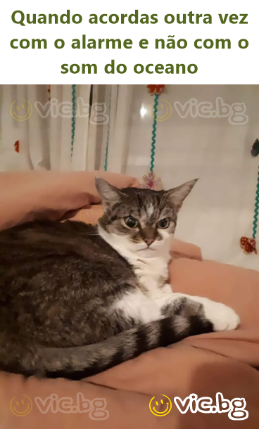 Quando acordas outra vez com o alarme e não com o som do oceano