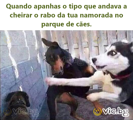 Quando apanhas o tipo que andava a cheirar o rabo da tua namorada no parque de cães.