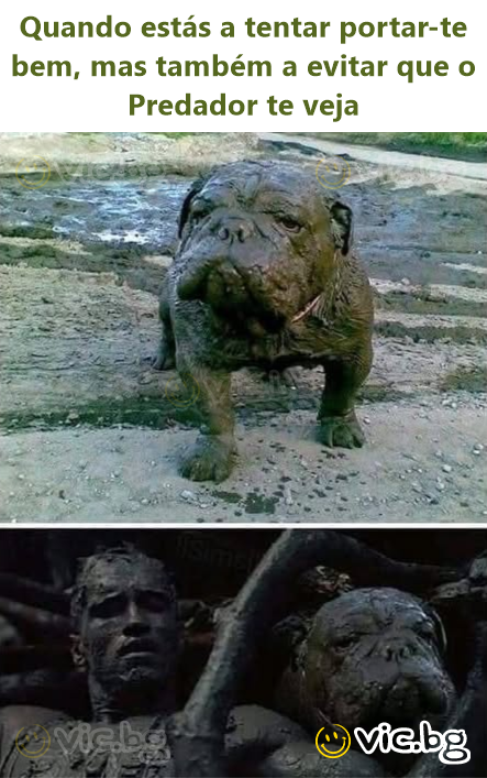 Quando estás a tentar portar-te bem, mas também a evitar que o Predador te veja