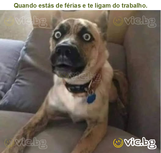 Quando estás de férias e te ligam do trabalho.