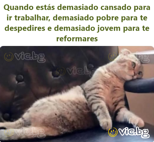 Quando estás demasiado cansado para ir trabalhar, demasiado pobre para te despedires e demasiado jovem para te reformares
