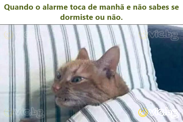 Quando o alarme toca de manhã e não sabes se dormiste ou não.