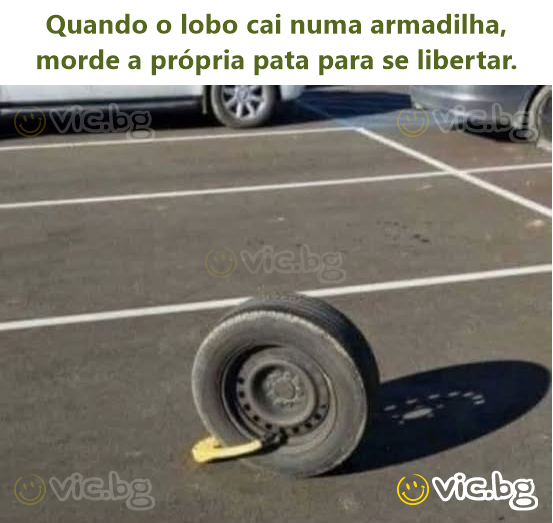 Quando o lobo cai numa armadilha, morde a própria pata para se libertar.