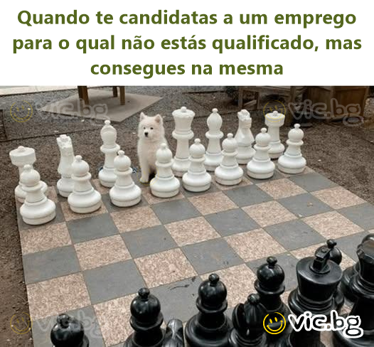 Quando te candidatas a um emprego para o qual não estás qualificado, mas consegues na mesma