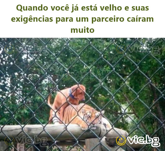 Quando você já está velho e suas exigências para um parceiro caíram muito