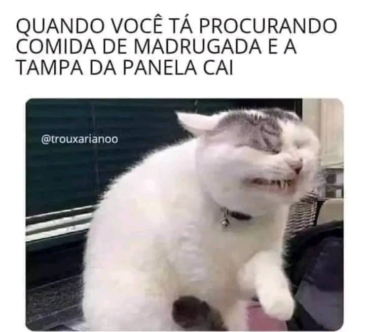 Quando você tá procurando comida de madrugada e a tampa da panela cai