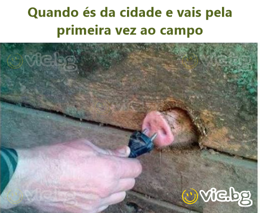 Quando és da cidade e vais pela primeira vez ao campo