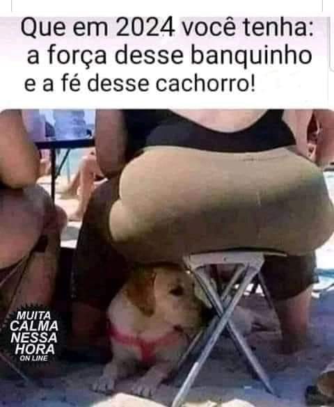 Que em 2024 você tenha: a força desse banquinho e a fé desse cachorro!