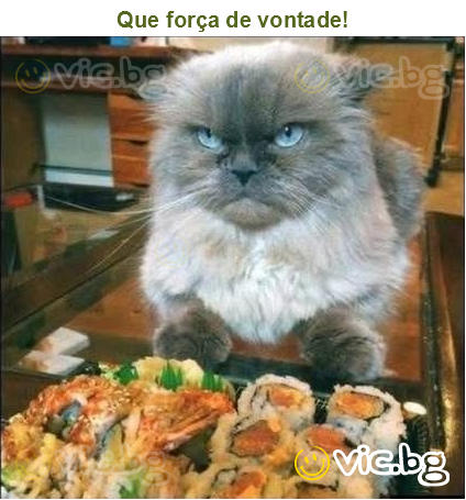 Que força de vontade!