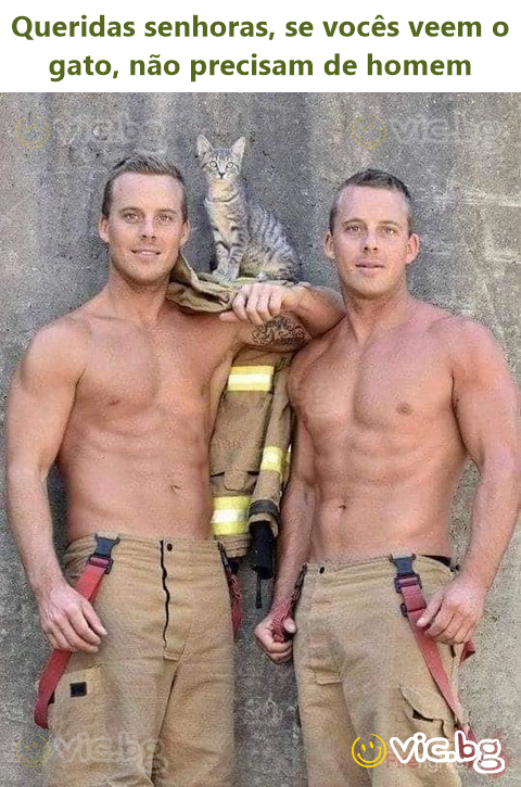 Queridas senhoras, se vocês veem o gato, não precisam de homem