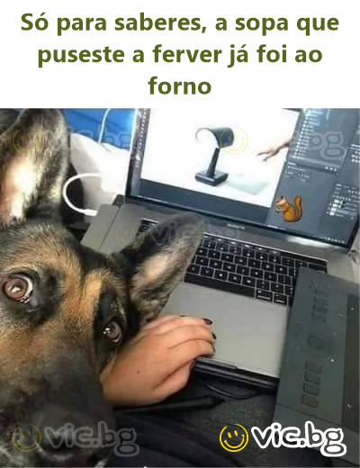 Só para saberes, a sopa que puseste a ferver já foi ao forno