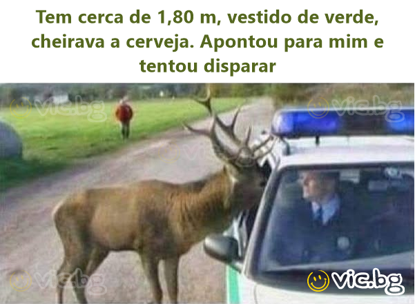 Tem cerca de 1,80 m, vestido de verde, cheirava a cerveja. Apontou para mim e tentou disparar