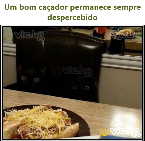 Um bom caçador permanece sempre despercebido