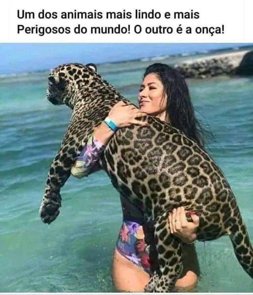 Um dos animais mais lindo e mais Perigosos do mundo! O outro é a onça!