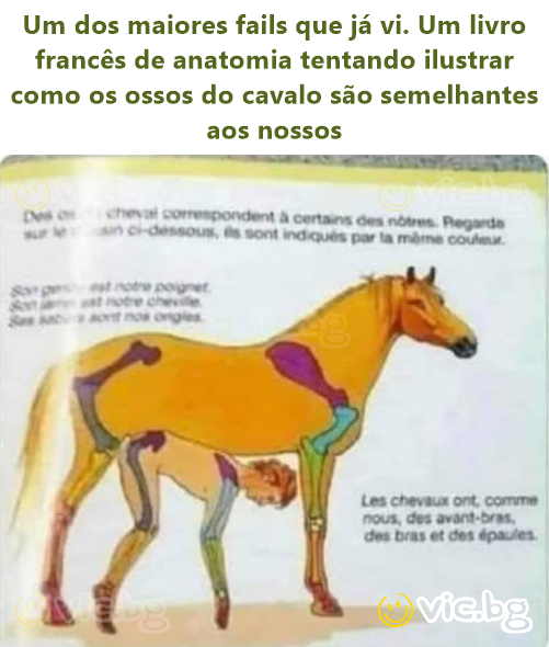 Um dos maiores fails que já vi. Um livro francês de anatomia tentando ilustrar como os ossos do cavalo são semelhantes aos nossos