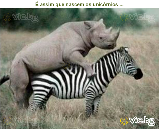 É assim que nascem os unicórnios ...