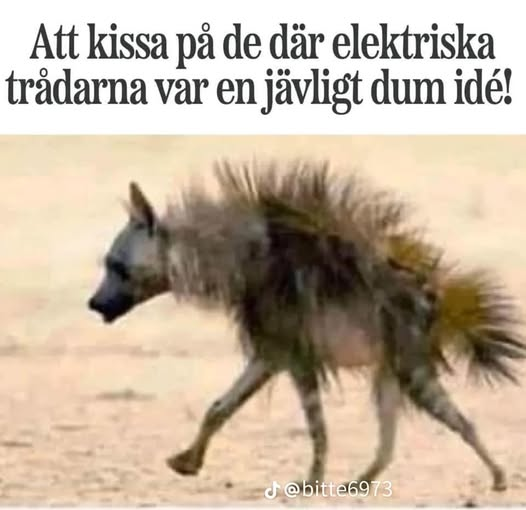 Att kissa pả de där elektriska trädarna var en jävligt dum idé!