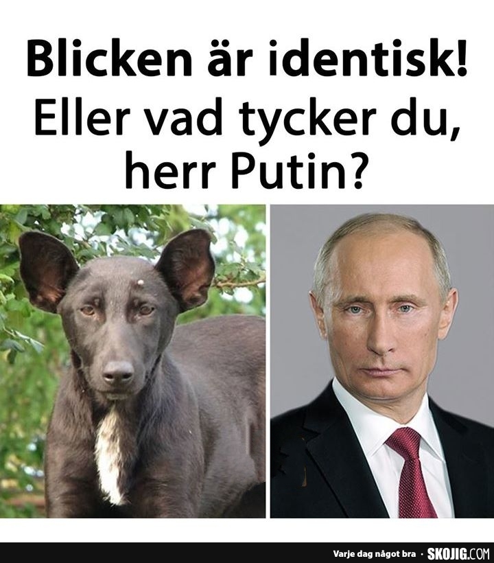 Blicken är identisk!	 Eller vad tycker du, herr Putin?