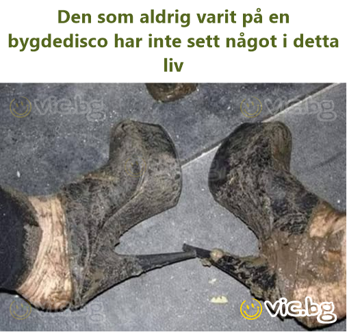 Den som aldrig varit på en bygdedisco har inte sett något i detta liv