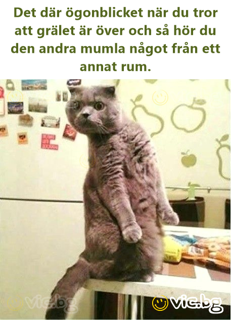 Det där ögonblicket när du tror att grälet är över och så hör du den andra mumla något från ett annat ruм.
