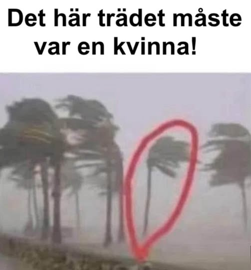 Det här trädet måste var en kvinna!