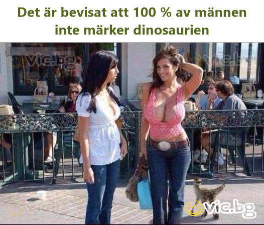 Det är bevisat att 100 % av männen inte märker dinosaurien
