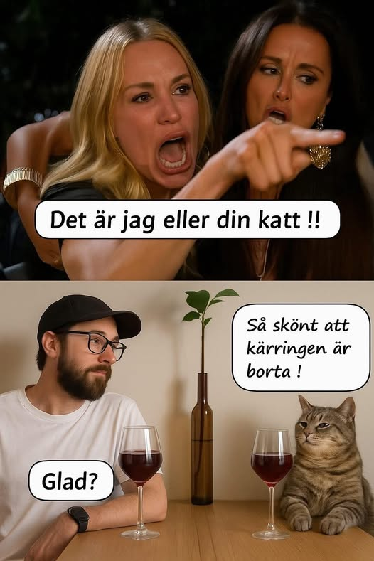 Det är jag eller din katt !! Glad? Sä skönt att kärringen är borta !