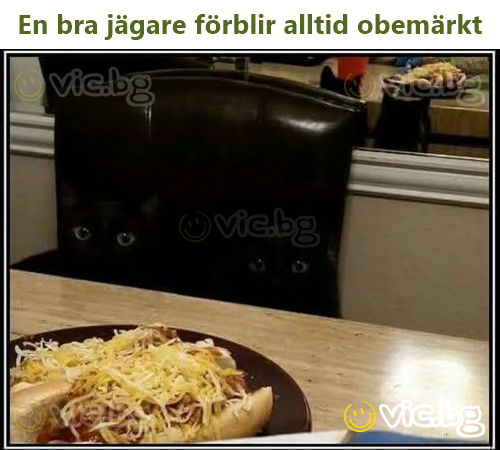 En bra jägare förblir alltid obemärkt