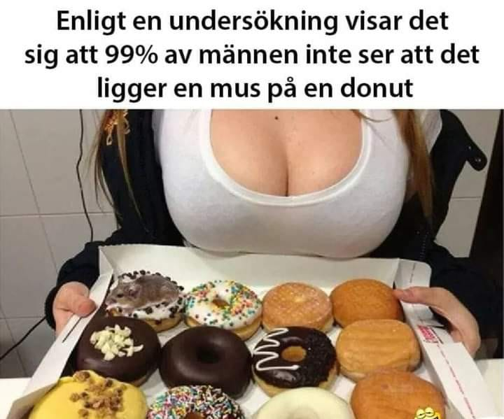 Enligt en undersökning visar det sig att 99% av männen inte ser att det ligger en mus pa en donut