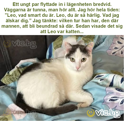 Ett ungt par flyttade in i lägenheten bredvid. Väggarna är tunna, man hör allt. Jag hör hela tiden: ”Leo, vad smart du är. Leo, du är så härlig. Vad jag älskar dig.” Jag tänkte: vilken tur han har,...