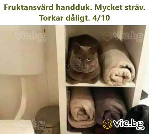 Fruktansvärd handduk. Mycket sträv. Torkar dåligt. 4/10