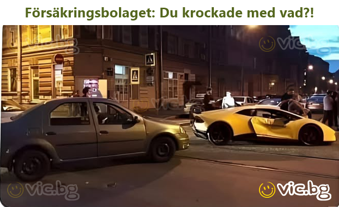 Försäkringsbolaget: Du krockade med vad?!