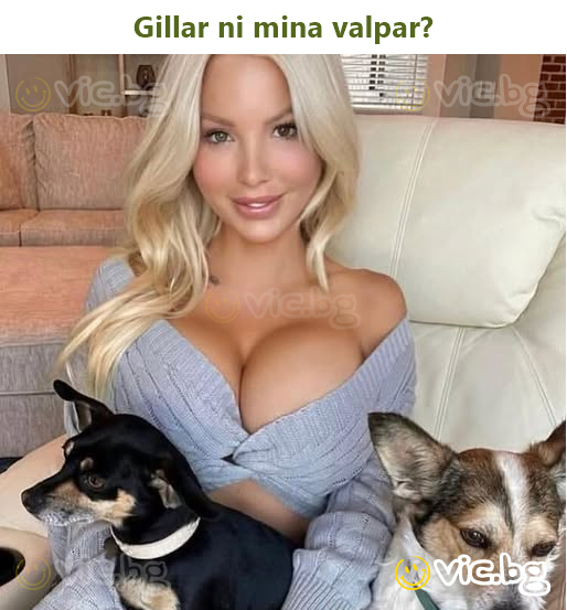 Gillar ni mina valpar?