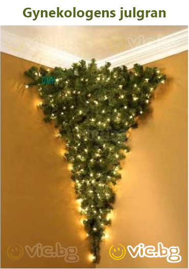 Gynekologens julgran