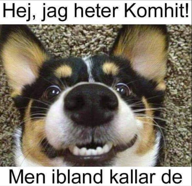 Hej, jag heter Komhit! Men ibland kallar de