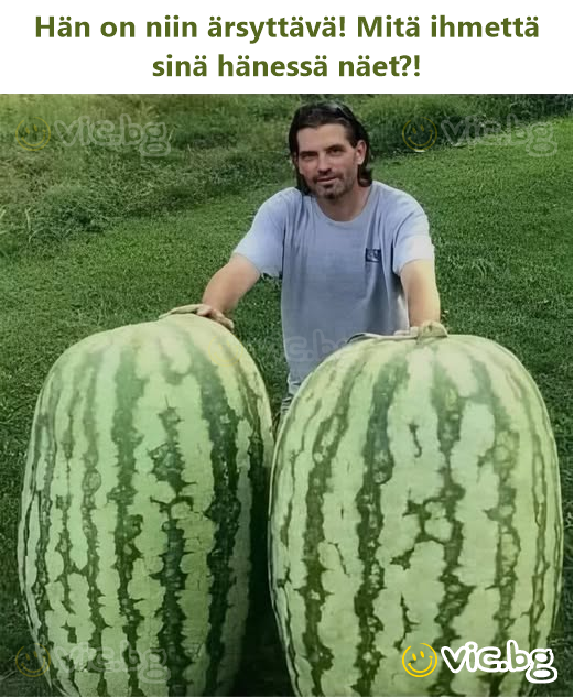 Hon är så irriterande! Vad ser du ens i henne?!