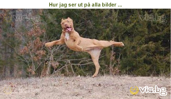 Hur jag ser ut på alla bilder ...