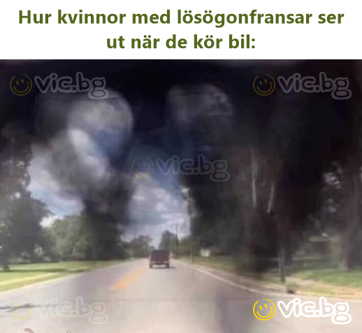 Hur kvinnor med lösögonfransar ser ut när de kör bil: