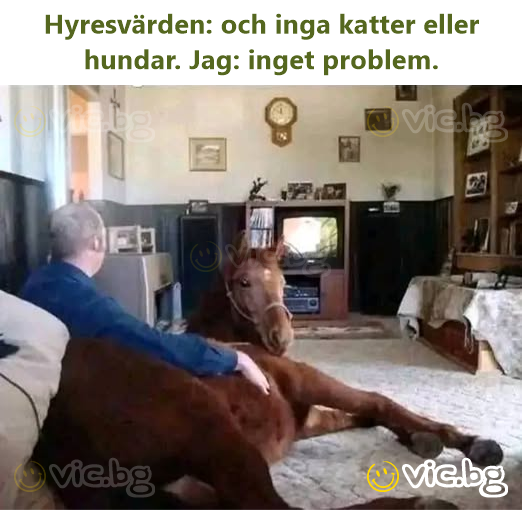 Hyresvärden: och inga katter eller hundar. Jag: inget problem.