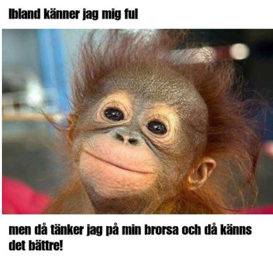 Ibland känner jag mig ful, men da tänker jag pà min brorsa och da känns det bättre!